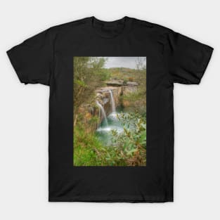 Wattamolla Waterfall T-Shirt